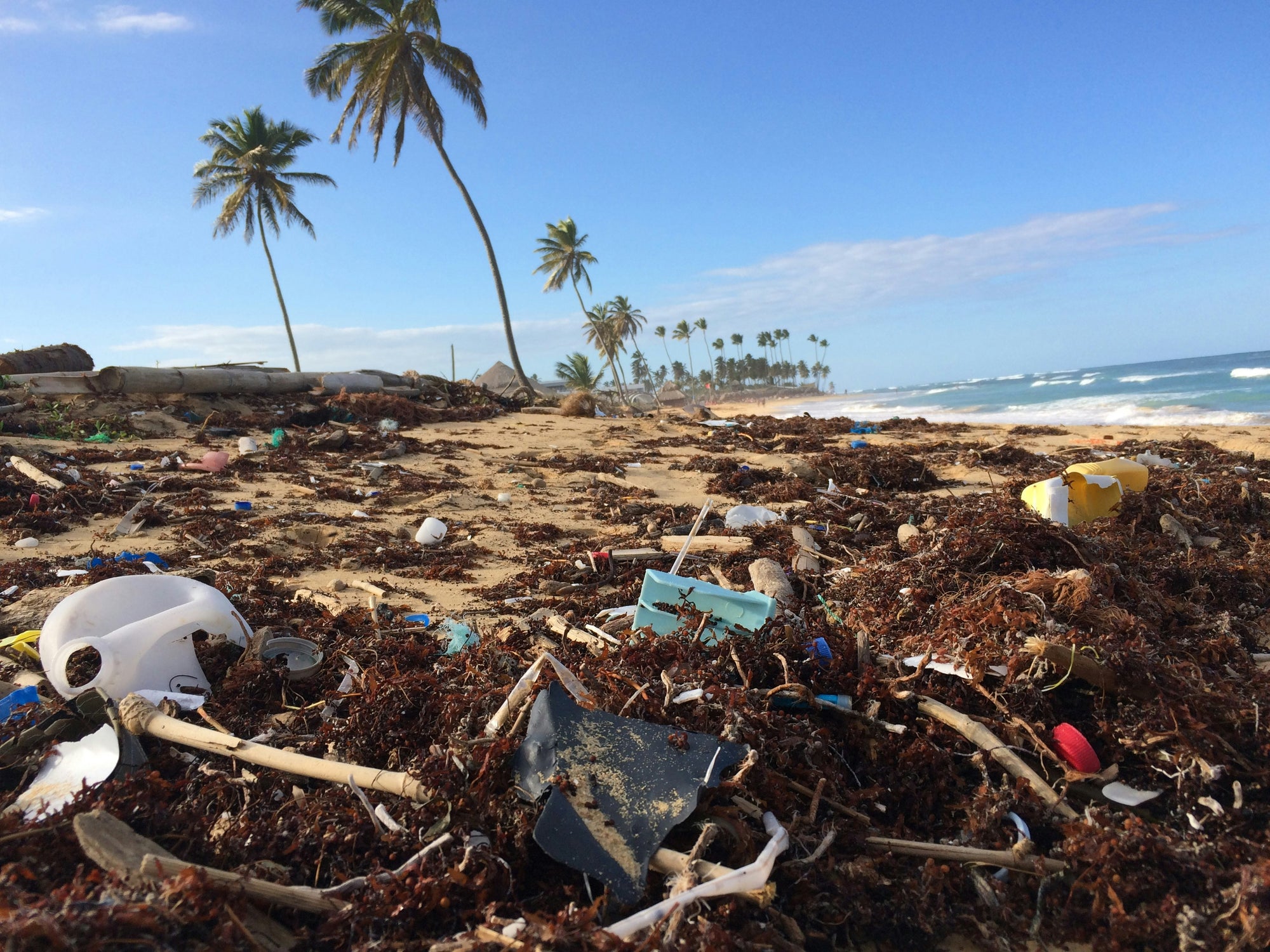 The Ripple Effect: Why Sustainable Swimwear Matters